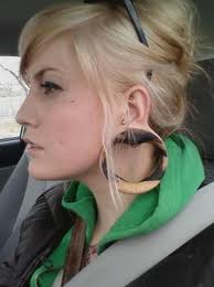 Ripped Stretched Ears